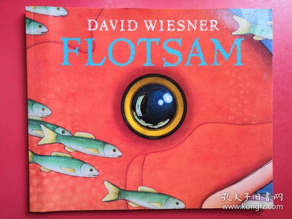 Flotsam (Caldecott Medal Book) 《海底的秘密》（2007年凯迪克金奖，平装）