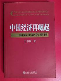 中国经济再崛起：国际比较的视野