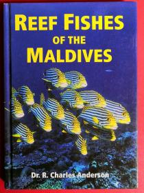 REEF FISHES OF THE MALDIVES