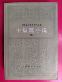 陀思妥耶夫斯基作品集中短篇小说（二）