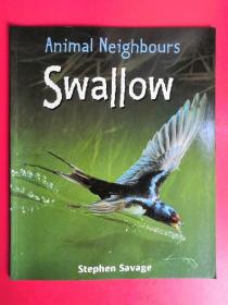 Animal Neighbours: Swallow 动物邻居：燕子