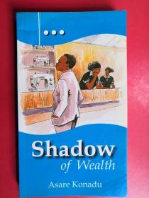 Shadow of Wealth