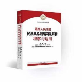 最高人民法院民法典总则编司法解释理解与适用