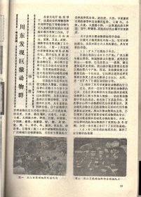 四川文物-缅怀叶帅在北平军调部的二三事；杨庶堪和他的《癸丑违难纪事二百韵手稿；巴中发现川陕根据地的累进税执据和印花税票；杜甫草堂遗碑考析；试析三星堆遗址商代一号坑的性质及有关问题；巴蜀图像符号中所见螳螂为“攮”之图腾考；夹江双杨府君阙释疑；旺苍县洪江镇汉墓清理简报；造型奇特的峨眉山万年寺无梁砖殿；部分四川青铜器的科学分析；宜宾汉代石刻画像中的鲟鱼；四川汉代画像砖上的佛塔图像；纪信故里；