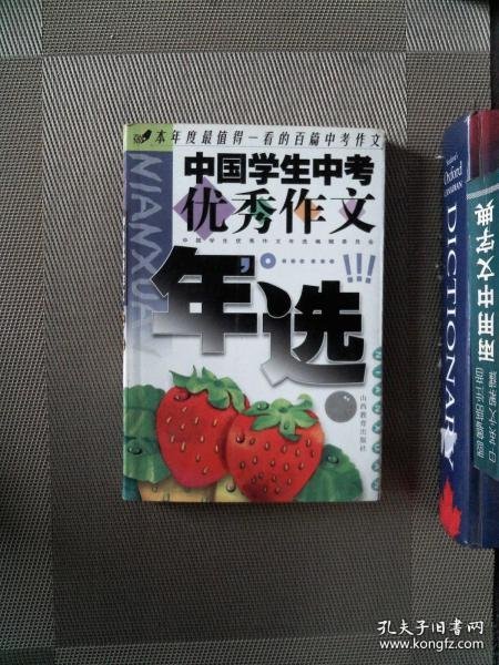 中国学生中考优秀作文年选（2004版）——中国学生优秀作文年选