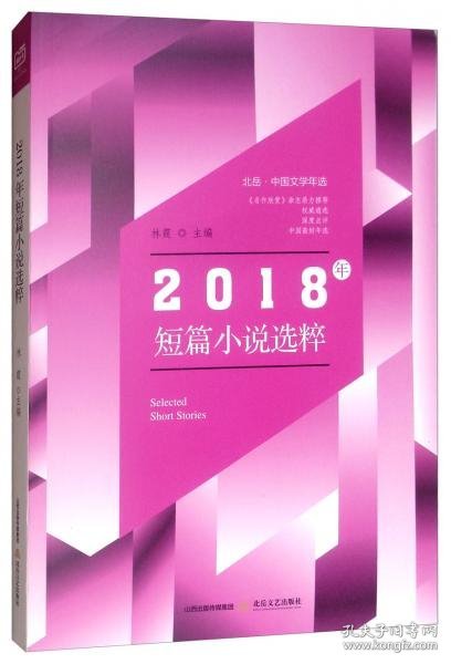 北岳·中国文学年选：2018年短篇小说选粹