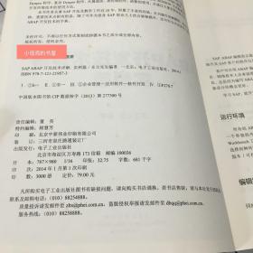 SAP ABAP开发技术详解（实例篇）