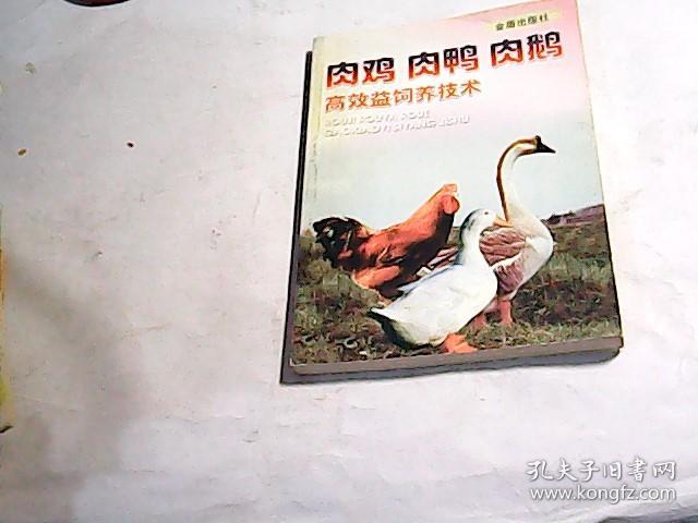 肉鸡 肉鸭 肉鹅高效益饲养技术