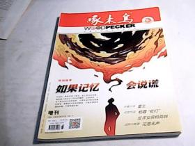 啄木鸟2020年增刊第2期