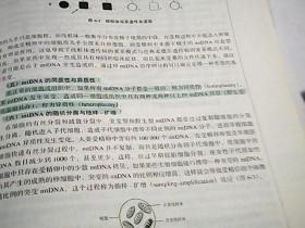 医学遗传学第4版