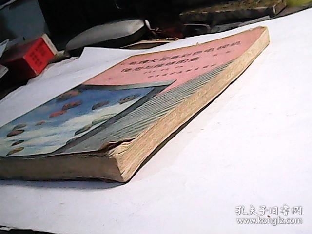 名牌大屏幕彩色电视机使用与维修图集（第三集）