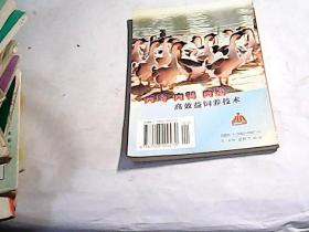 肉鸡 肉鸭 肉鹅高效益饲养技术