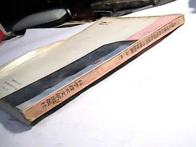 名牌大屏幕彩色电视机使用与维修图集（第三集）