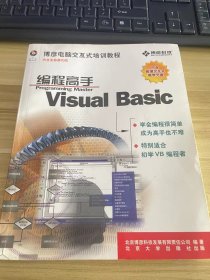 Visual Basic编程高手