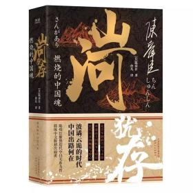 山河犹存-燃烧的中国魂（全2册）