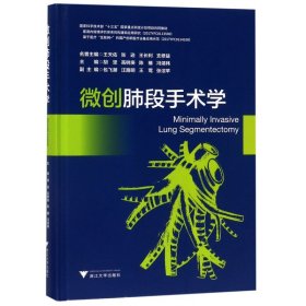 微创肺段手术学