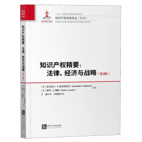 知识产权精要：法律、经济与战略（第2版）