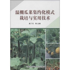 温棚瓜菜集约化模式栽培与实用技术 高丁石,等 著作 著 农业基础科学专业科技 新华书店正版图书籍 中国农业科学技术出版社