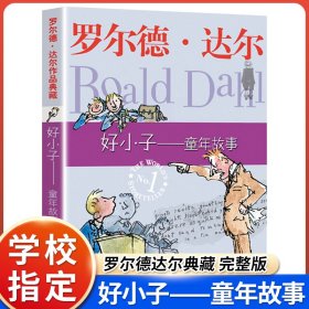 好小子-童年故事：罗尔德·达尔作品典藏