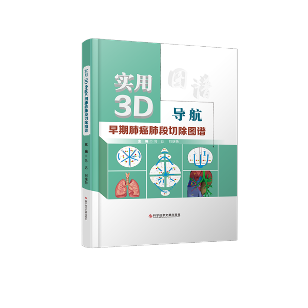 实用3D导航早期肺癌肺段切除图谱