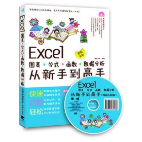 Excel图表公式函数数据分析从新手到高手（畅销升级版附光盘）excel办公软件教程excel2013办公软件应用大全 函数财务excel表格制