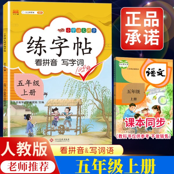 汉之简小学五年级上册语文同步练字帖专项训练书写字帖看拼音写汉字词语生字注音控笔训练字贴