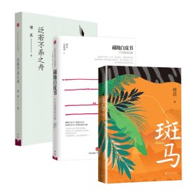 斑马（傅真2022年全新力作，从北京到曼谷，跨越三千二百公里的治愈之旅）