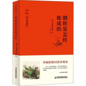 钢铁是怎样炼成的 插图版 (苏)尼古拉·阿历克塞耶维奇·奥斯特洛夫斯基 著 刘军 译 世界名著文教 新华书店正版图书籍