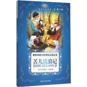 苦儿流浪记 (法)埃克多·马洛 著;劳茜 改写;金波 丛书主编 著 中学教辅文教 新华书店正版图书籍 外语教学与研究出版社