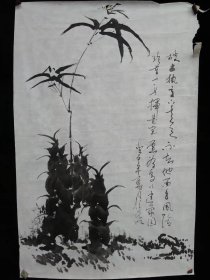 竹子老画，品如图。