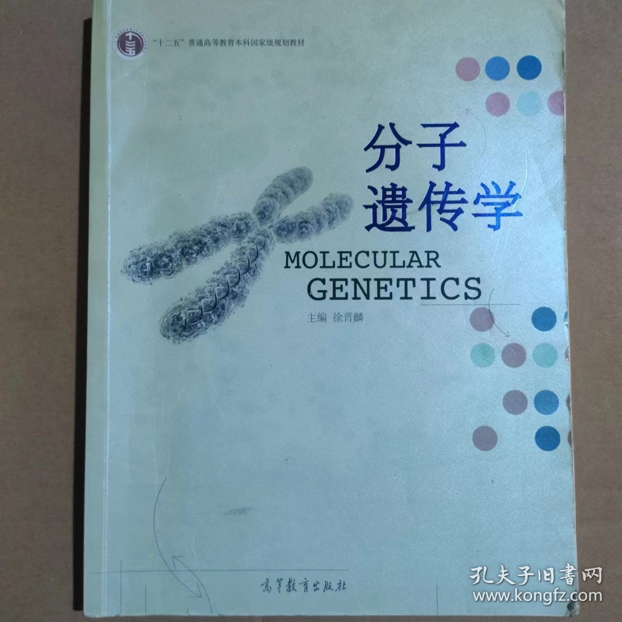 普通高等教育“十一五”国家级规划教材：分子遗传学