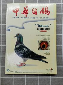 中华信鸽 2000 4
