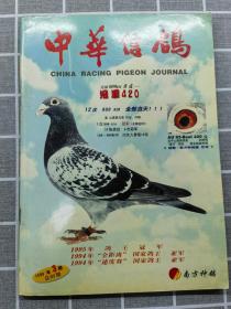中华信鸽 1998 3