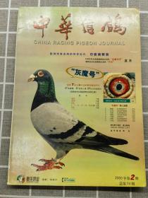 中华信鸽 2000 2