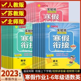 实验班提优训练寒假衔接版 六年级语文人教版 2023年新版衔接上下册学期提优训练每日一练寒假作业本视频精讲强化基础专项练习册