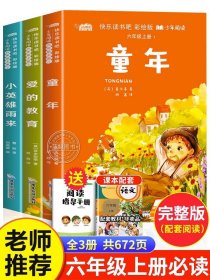 六年级必读的课外书 爱的教育小英雄雨来童年书全套3册高尔基正版原著完整版小学生课外阅读书籍老师推荐快乐读书吧经典书目6上册