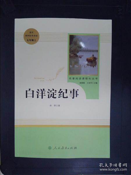 白洋淀纪事 名著阅读课程化丛书（统编语文教材配套阅读）七年级上