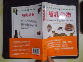 大自然博物馆·百科珍藏图鉴系列--哺乳动物