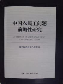 中国农民工问题前瞻性研究