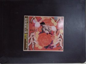 费翔：野花（1CD+歌词）118