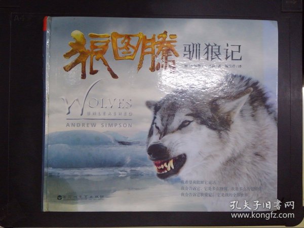 狼图腾：驯狼记：《狼图腾》御用驯兽师、“狼王”安德鲁•辛普森驯狼手记