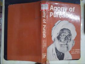 Agony of punjab（详见图）