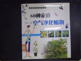 60种家庭空气净化植物