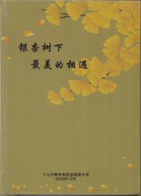 银杏树下最美相遇——十九中教育集团金塔路小学