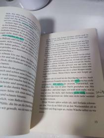 Blitzeis von Peter Stamm 彼得·施塔姆 德文版