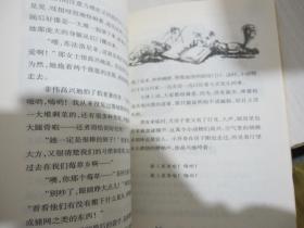 国际大奖小说（升级版）：兔子坡
