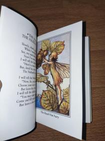 Flower Fairies of the Autumn Cicely Mary Barker 英文版 精装 口袋本