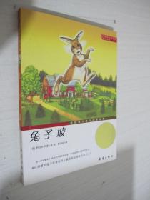 国际大奖小说（升级版）：兔子坡