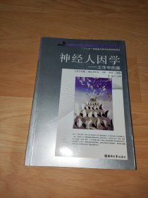 神經(jīng)人因?qū)W：工作中的腦