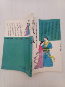 才子佳人小说选刊：飞花咏